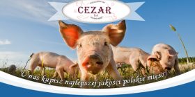 CEZAR