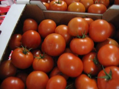 GEMÜSE - TOMATEN