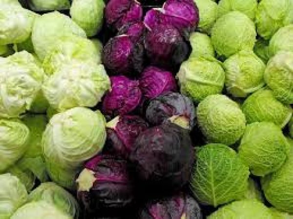 GEMÜSE - KOHL