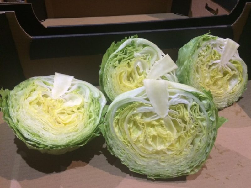 GEMÜSE - EISBERGSALAT