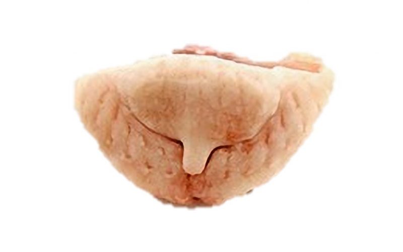GEFLÜGELFLEISCH - FRISCHE BÜRZEL