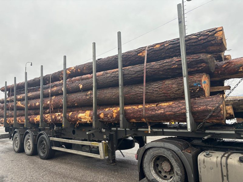 KIEFERRUNDHOLZ MIT RINDE