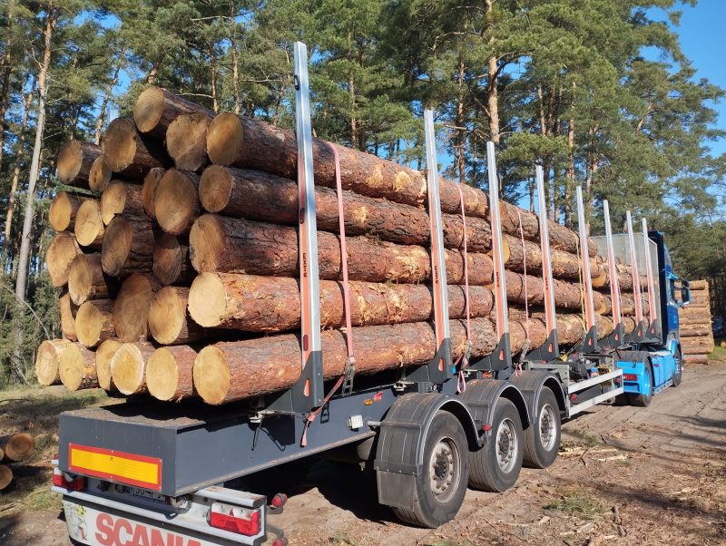 KIEFERRUNDHOLZ MIT RINDE