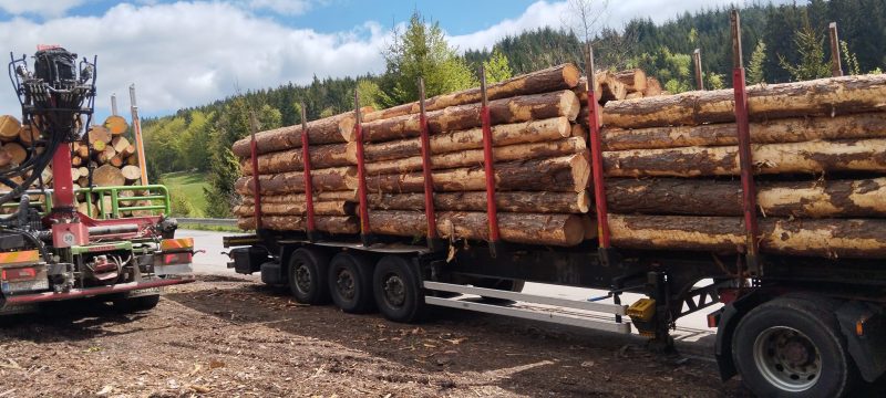 KIEFERRUNDHOLZ MIT RINDE