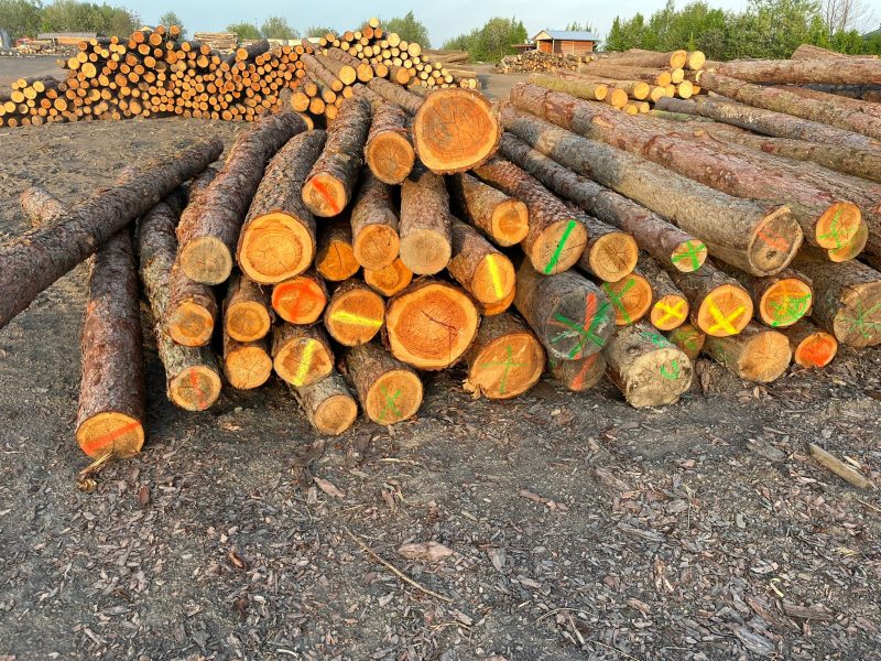 PALETTENHOLZ