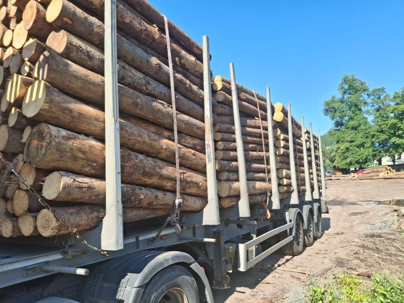 PALETTENHOLZ