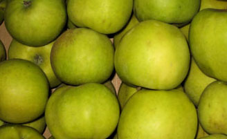 OBST - ÄPFEL MUTSU